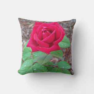 Red Rose Cushion