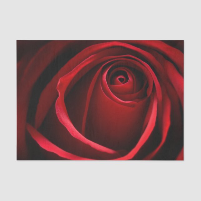 Red Rose Custom 10lb Tissue Paper, White Paper (Front)
