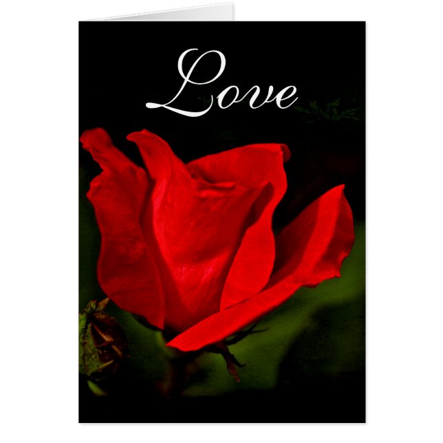 Red Rose - Dark Passion (Front)