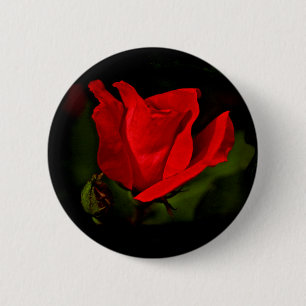 Red Rose - Dark Passion 6 Cm Round Badge