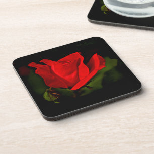 Red Rose - Dark Passion Coaster