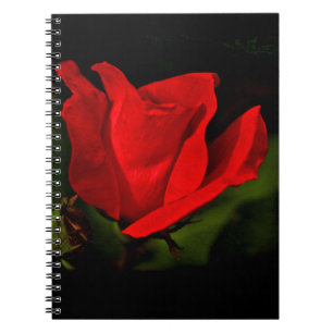 Red Rose - Dark Passion Notebook