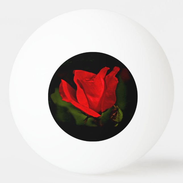 Red Rose - Dark Passion Ping Pong Ball (Front)