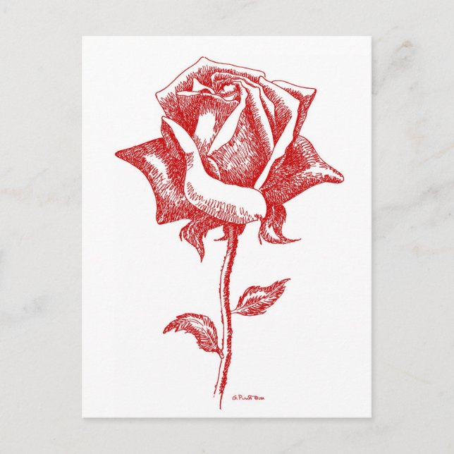 Red Rose Designs Postcard (Front)
