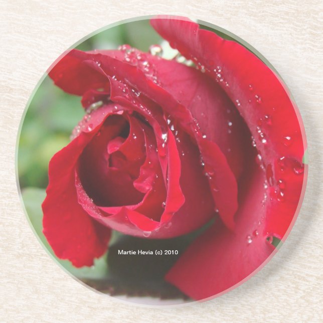 Red Rose Dew - Coaster (Front)