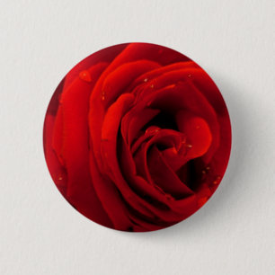 Red rose flower 6 cm round badge