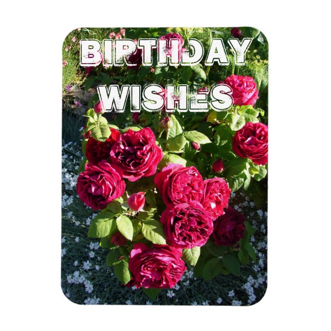 Red Rose Flower Garden floral Happy Birthday Magnet (Vertical)
