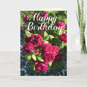 Red Rose Flower Garden floral Roses Birthday Card