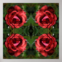Red Rose Flower In Bloom Abstract Art