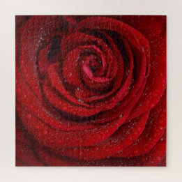 Red Rose Flower Jigsaw Puzzle