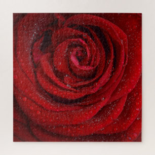 Red Rose Flower Jigsaw Puzzle