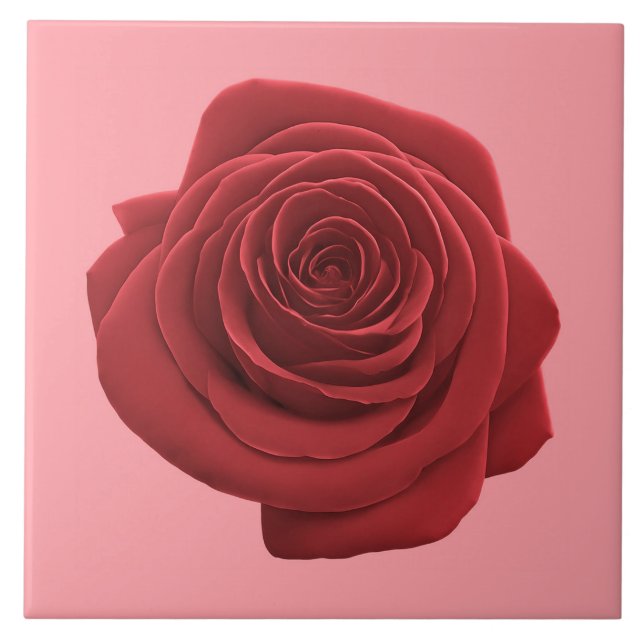 Red Rose Flower on Ceramic Tile (Front)