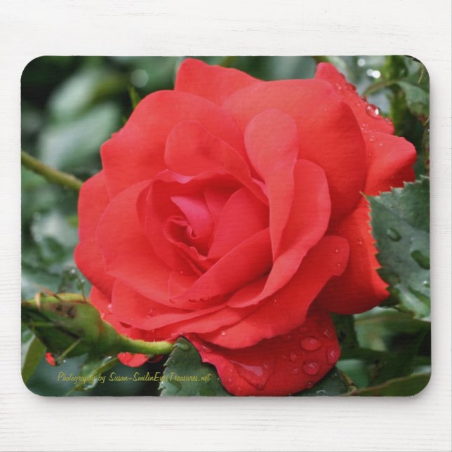 Red Rose Flower Photography Mousepad (Front)