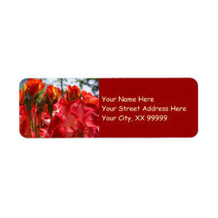 Red Rose Flower Return Address labels Holidays