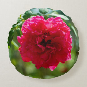 Red rose flower round cushion