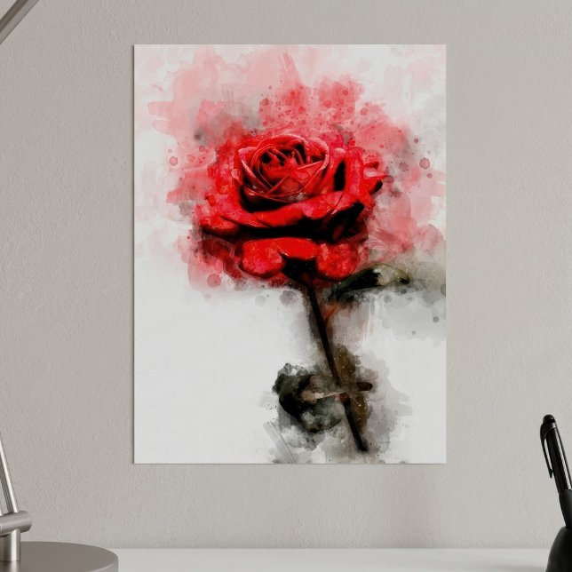 Red Rose flower watercolor - wb Poster (Red Rose Watercolor Art on White Background. Poster)