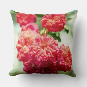 Red rose flowers cushion