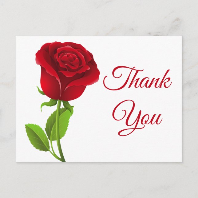 Red Rose Flowers Thank You Floral Postcard (Front)