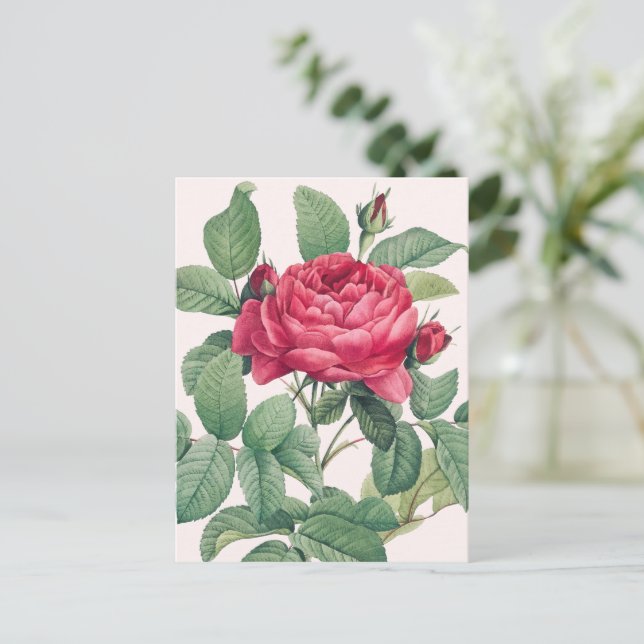 Red Rose Flowers with Green Leaves Postcard (Standing Front)