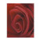 Red Rose Flyer