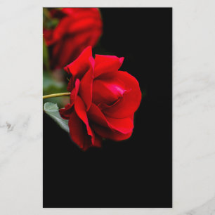 Red rose flyer