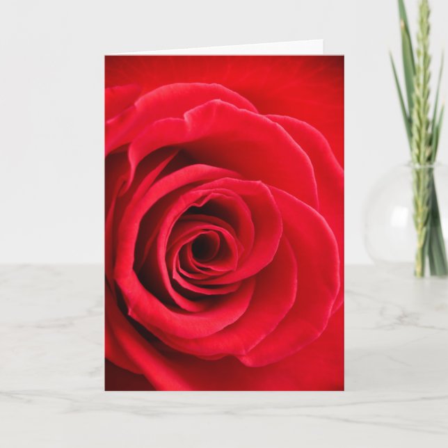 Red rose folded card (Front)
