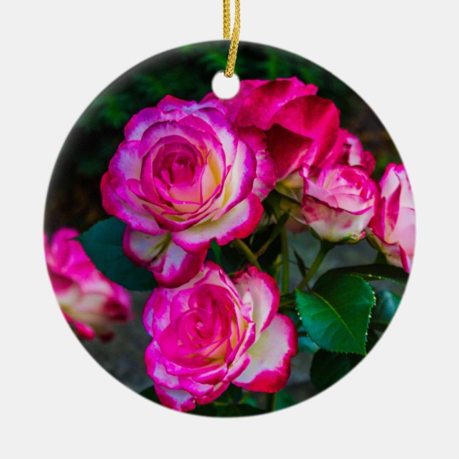 Red Rose Garden  Ceramic Ornament (Front)