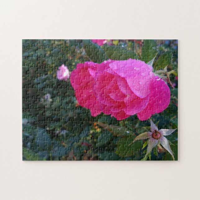 Red rose garden flower jigsaw puzzle (Horizontal)