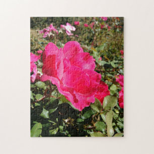 Red rose garden flower jigsaw puzzle