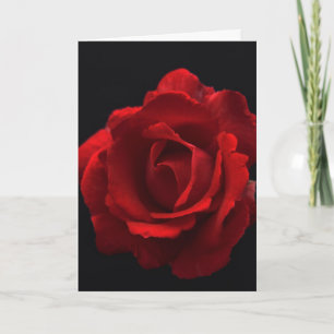 Red Rose gccna Card