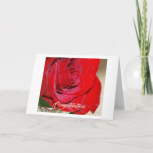 Red Rose Greeting Card