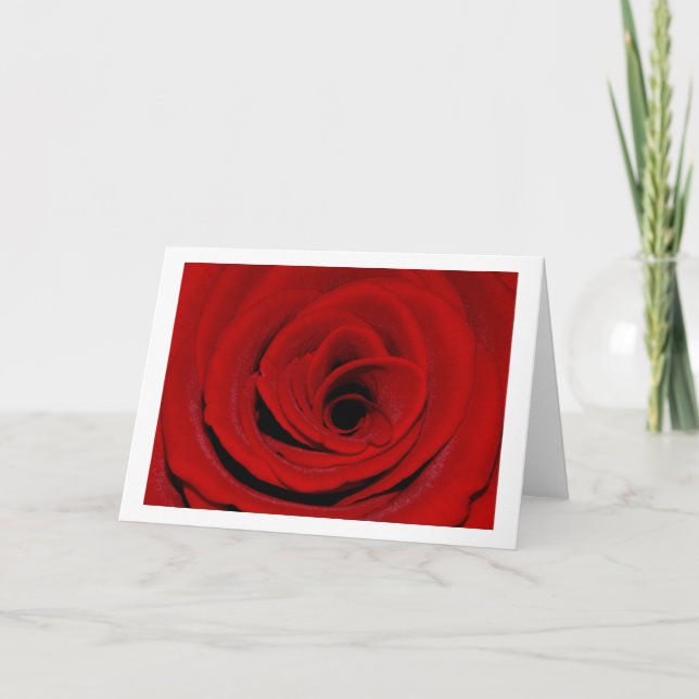 Red Rose Greeting Card (Front)