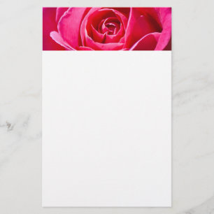 Red rose growing in a garden stationery