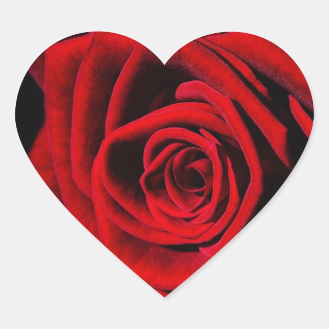Red Rose Heart Stickers and Envelope Seals (Front)