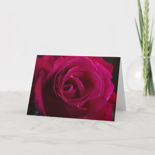 Red Rose Holiday Card