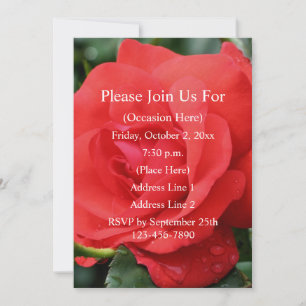 Red Rose In Bloom Floral Invitation