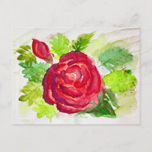 Red Rose in Bloom Watercolor Floral Painting Holiday Postcard