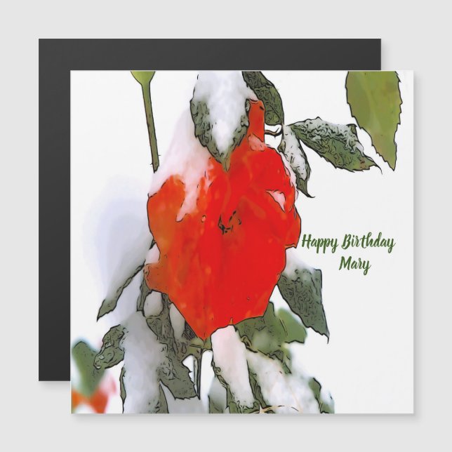 Red Rose in Snow  Magnet (Front/Back)