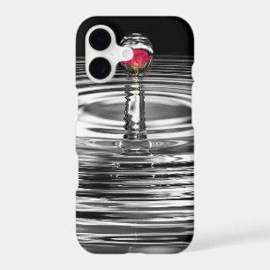 red rose in water droplet