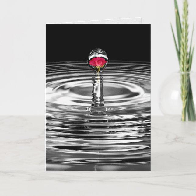 red rose in water droplet sympathy card (Front)