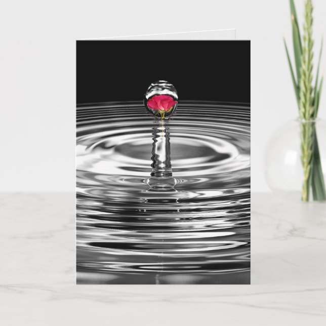 red rose in water droplet sympathy card (Front)