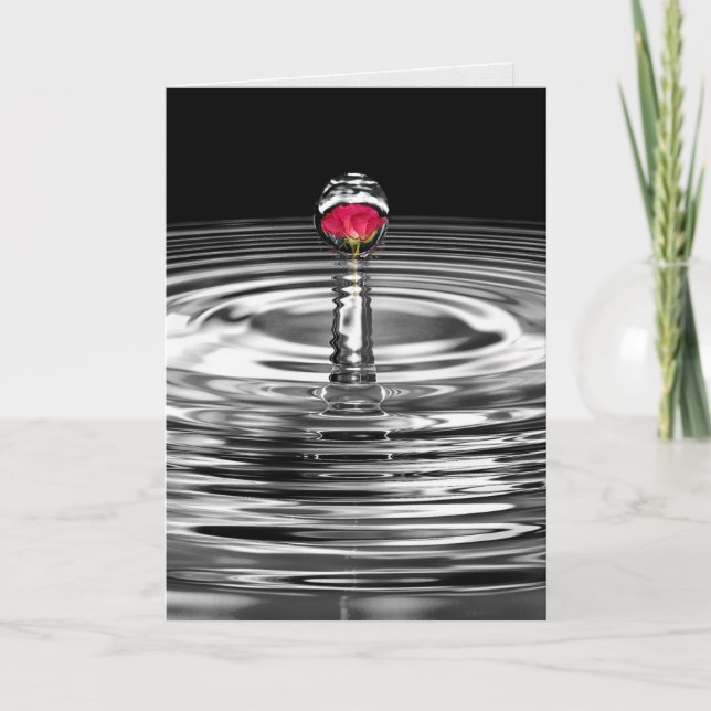 red rose in water droplet sympathy card (Front)