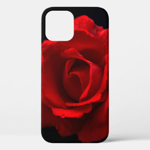 Red Rose iphcna iPhone 12 Case