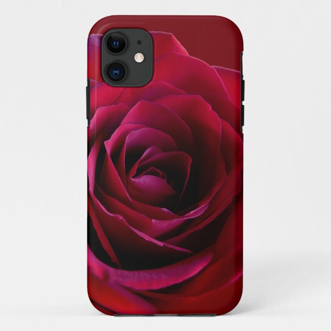 Red Rose iPhone 5 Case Classic Rose iPhone Cases (Back)