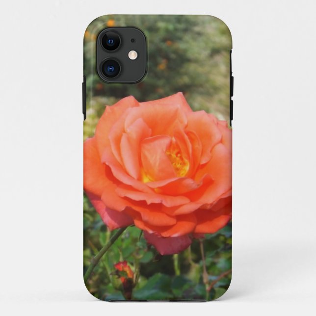 Red Rose iPhone 5 Case-Mate Case (Back)