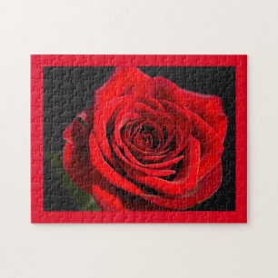 Red rose jigsaw puzzle