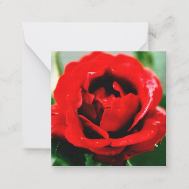 Red Rose Love                                      Card (Front)
