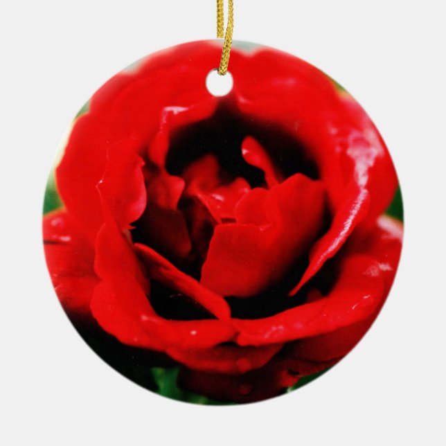 Red Rose Love   Ceramic Ornament (Front)