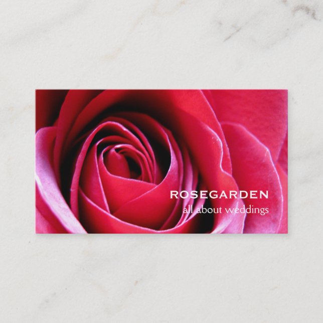 Red Rose Love Petals Business Card (Front)