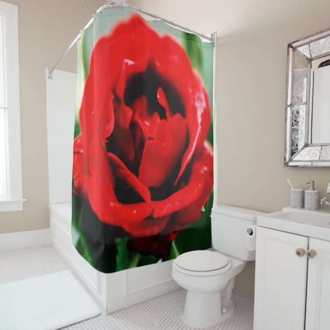 Red Rose Love  Shower Curtain (In Situ)